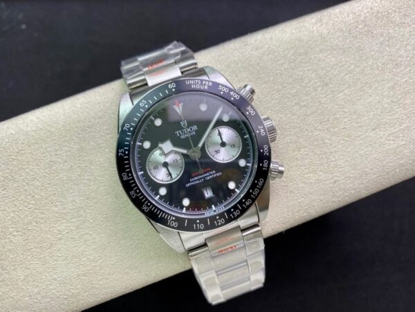 Tudor - Image 5