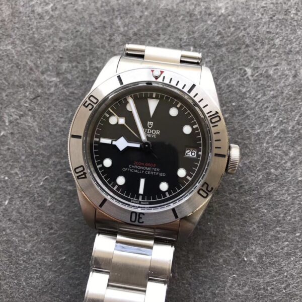 Tudor - Image 5