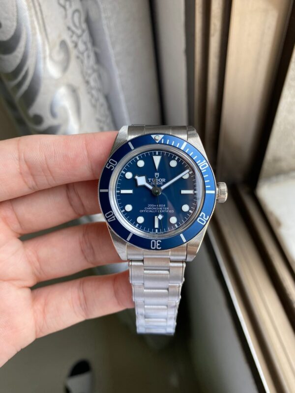 Tudor - Image 8