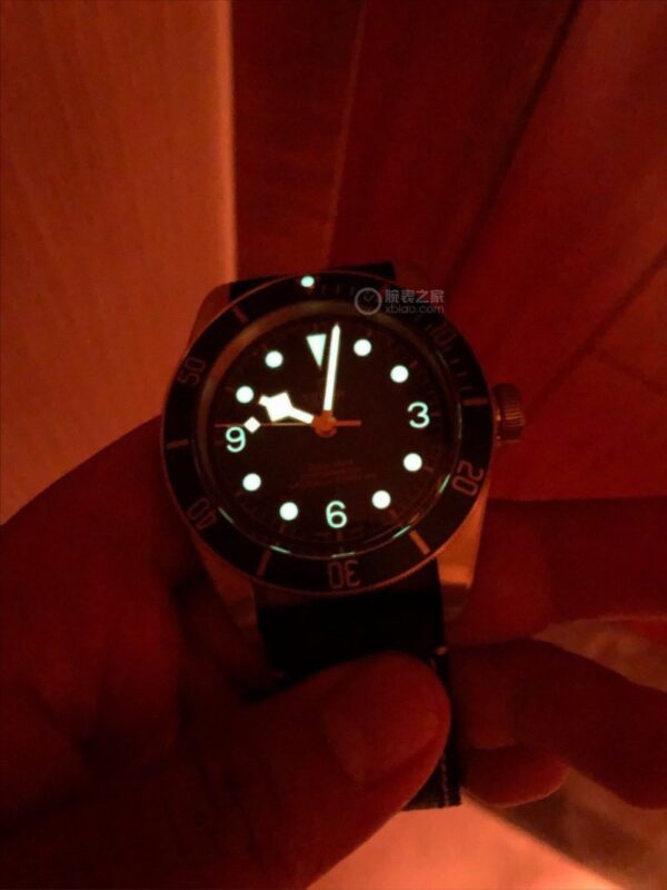 TUDOR - Image 3