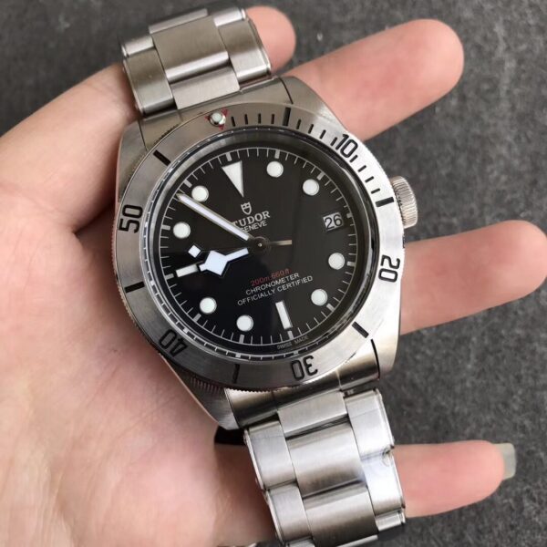 Tudor - Image 8