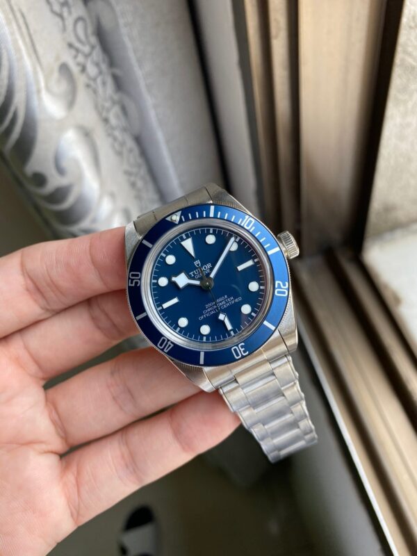 Tudor - Image 2