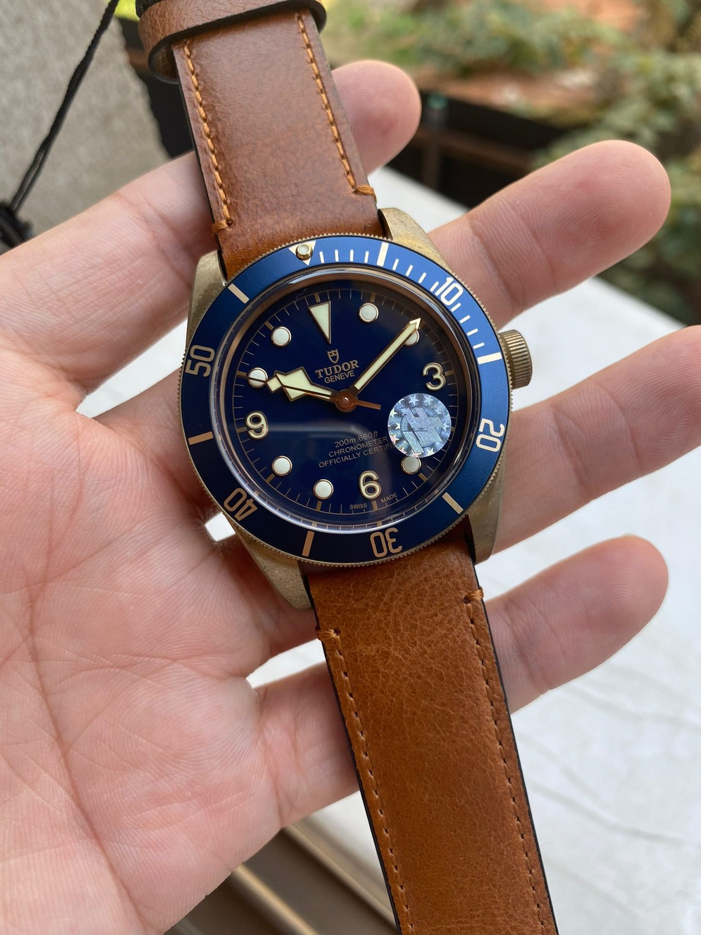 TUDOR